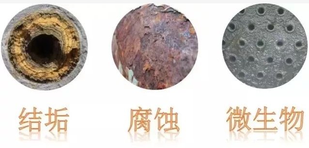 防除垢装置 防除垢装置